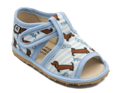 014-4 Rak papue otvor. inovatvne jazvek modr