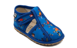 015-4 Rak papue zatvor. inovatvne hokej