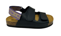 Plakton sandle Tucson marino